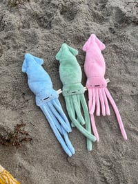 Image 1 of Squid Babies (sold Separately)