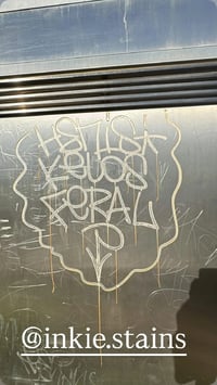 Image 3 of 250ml rust ink.