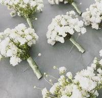 Gypsophila button holes 