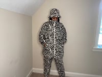 Image 2 of The Dalmatian Set