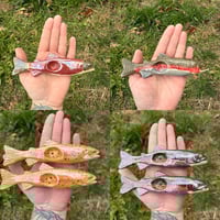 Image 1 of Trout -SECONDS