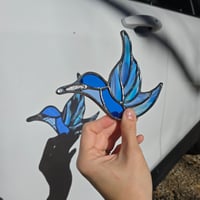 Image 5 of Blue Fremont Hummingbird