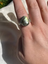 Image 2 of Iceland Moss