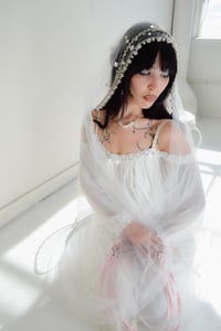 Image 2 of Chasing Falling Stars