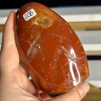 Image 2 of Petrified Wood Freeform (20B)