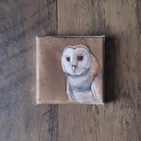 Image 1 of Barn Owl