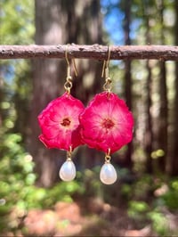 Image 1 of Pearly Rose Earrings