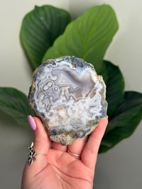 Image 1 of SWIRLY MOROCCAN AGATE B