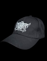 Image 2 of PLAGUEDEARTH Dad hat 