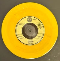 Image 2 of Huntingtons/Young Hasselhoffs Split 7” ep 