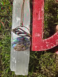 Image 3 of Electroformed Abalone and seashell necklace 