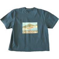 “Dehydrated in Tucson” Crop Tee