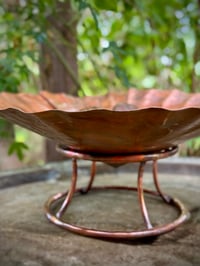 Image 5 of Scallop Shell Bowl