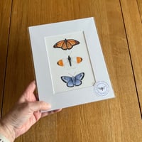 Image 5 of Butterfly Collection Giclee Print - Various Designs