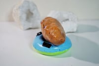 Image 3 of Sweet Potato on a Pool Floatie