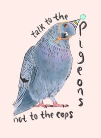 Talk to the pigeons 