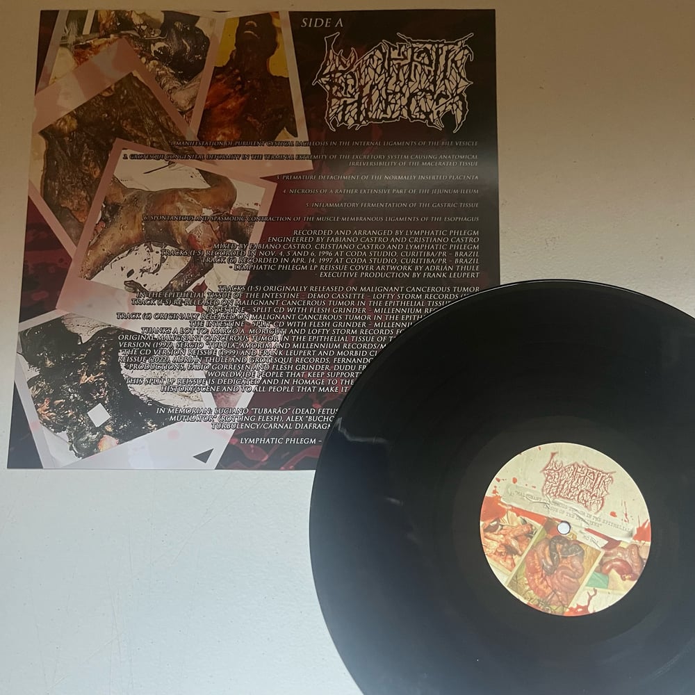 FLESH GRINDER / LYMPHATIC PHLEGM - "Split" 12" vinyl LP