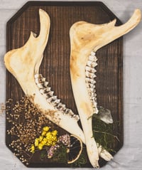 Image 5 of Double Deer Jaw Hanger Brown