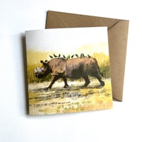 Image 2 of African Animal Magic - Set Of 4 Luxury Greetings Cards