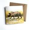 African Animal Magic - Set Of 4 Luxury Greetings Cards