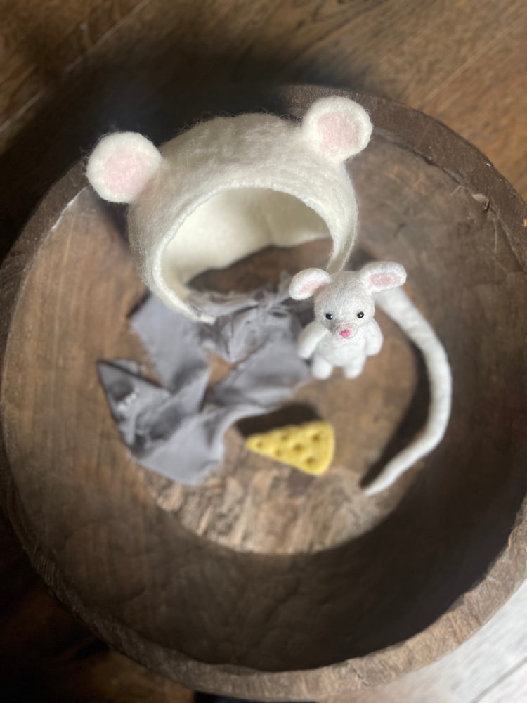 Image of Little Mouse in the house 