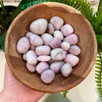 Kunzite Tumble