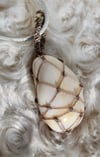 Common White Opal