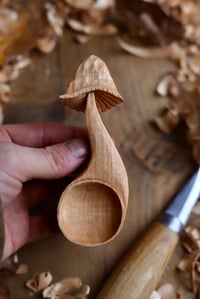 Image 7 of Mushroom-Coffee Scoop