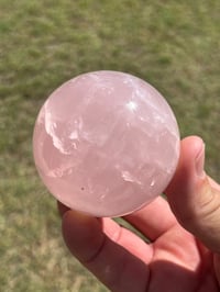 Image 5 of Star Rose Quartz Sphere #2982
