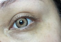 Image 3 of glacier brown