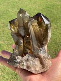 Image 21 of Smoky Citrine Points Cluster #1876
