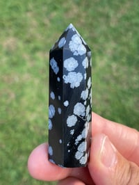 Image 4 of Snowflake Obsidian Generator #1942