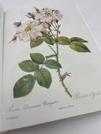 Image 2 of Redouté. Roses