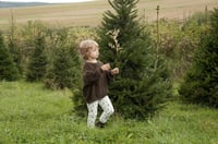 Image 4 of Nordic Trees - Pre-order - baby/childrens Clothing 