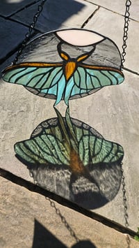 Image 2 of Luna moth night