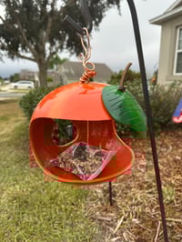 Orange Gourd Bird Feeder