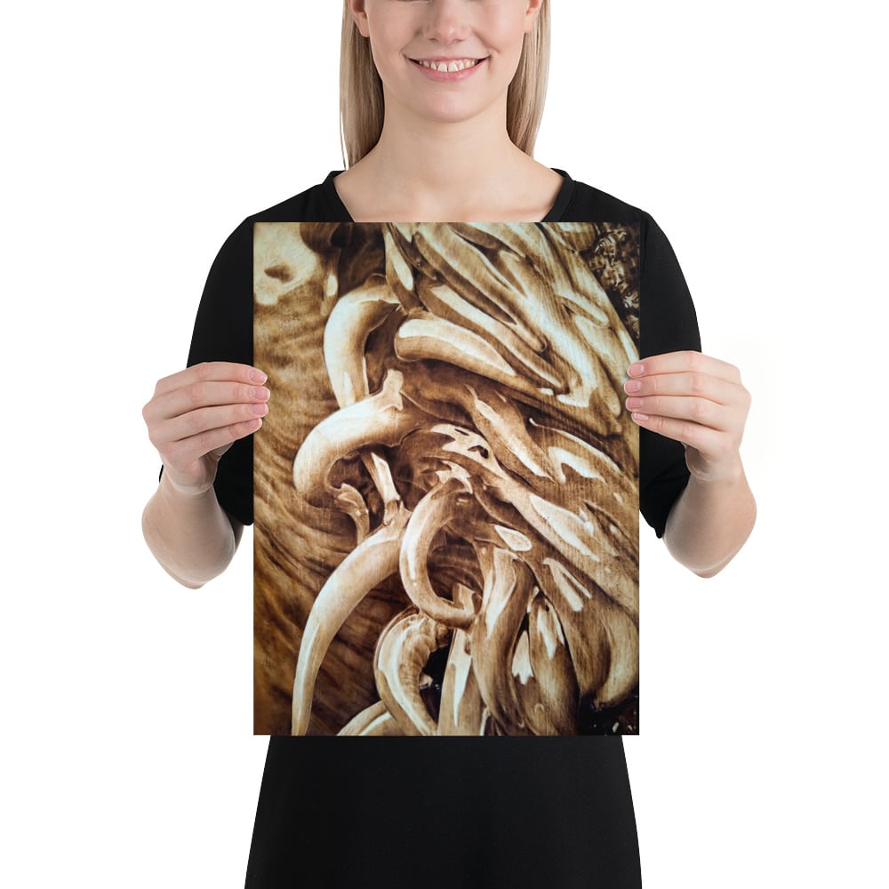 Photo Print: Sea Anemone (Upper)