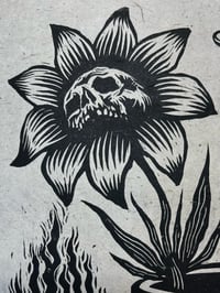 Image 2 of Nice to See You 