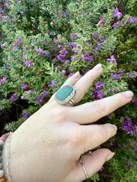 Image 2 of The Big Bud Ring (8.5)