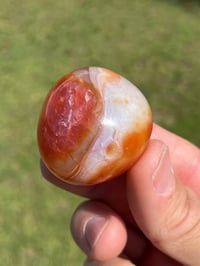 Image 6 of Carnelian Polished Agate 5 Piece Lot #2230