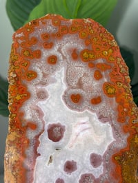 Image 2 of XXL MOROCCAN MOUNTAIN RED AGATE WITH NATURAL HEART