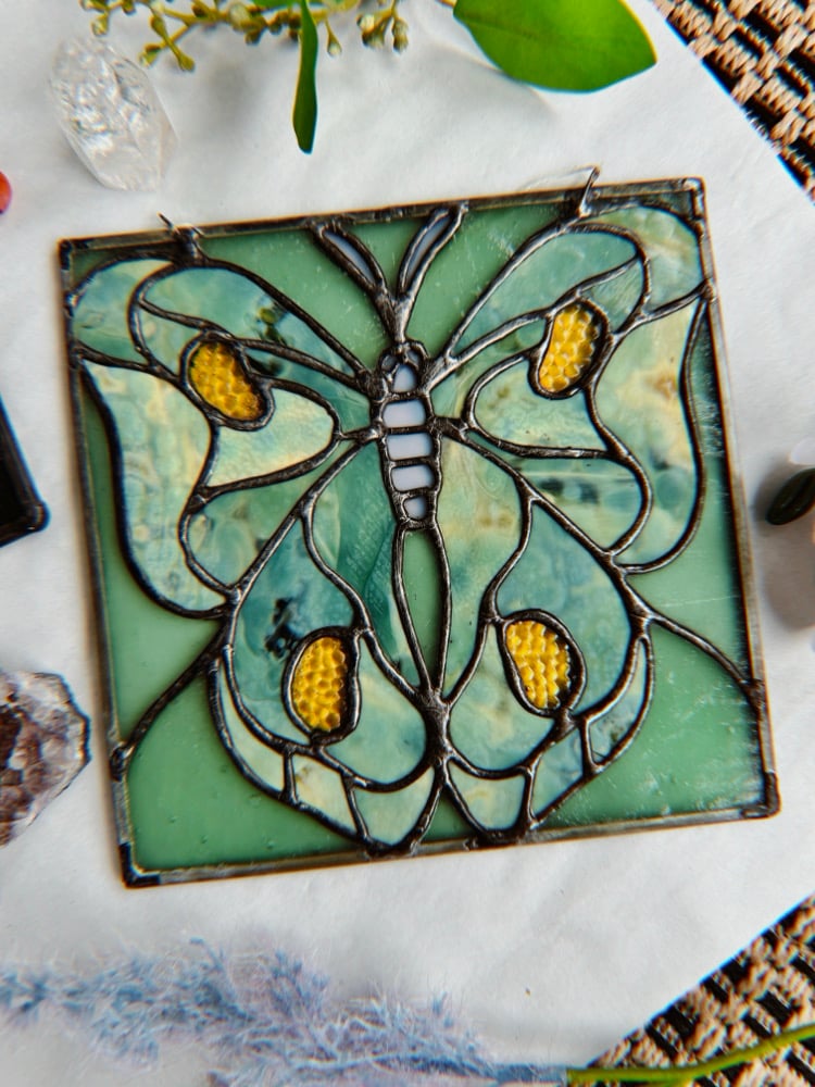 monochrome(ish) moth