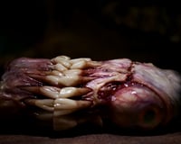 Image 11 of The Monstrous - collectible Clipper Lighter Sleeve