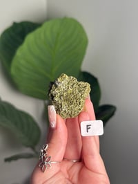 Image 6 of ROUGH EPIDOTE CHUNKS -AUSTRIA- CHOOSE YOUR OWN