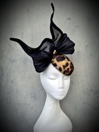 Image 2 of 'Bowie' in Leopard and black