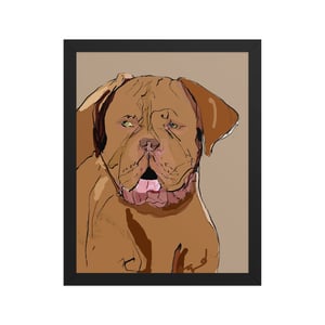 Image of DOGUE DE BORDEUX