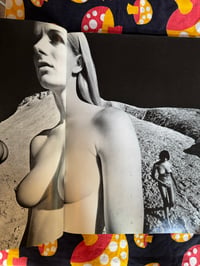 Image 9 of NUDE, Kishin Shinoyama, 1970, First Edition, Softcover