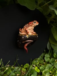 Image 1 of Toad and worm wall sculpture
