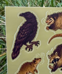 Image 8 of Urban Trash Animals Sticker Sheet 4 x 6”