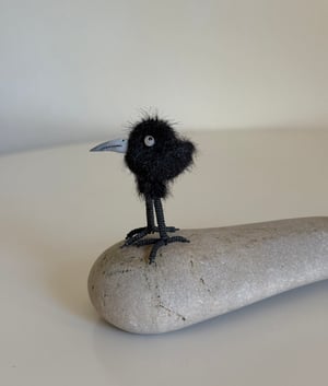 Image of Very Tiny Raven Baby #2